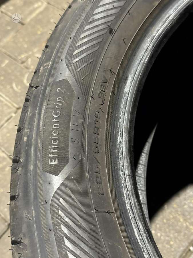 Goodyear EFFICIENTGRIP 2 | 2024/2025, летние 225/55 R19