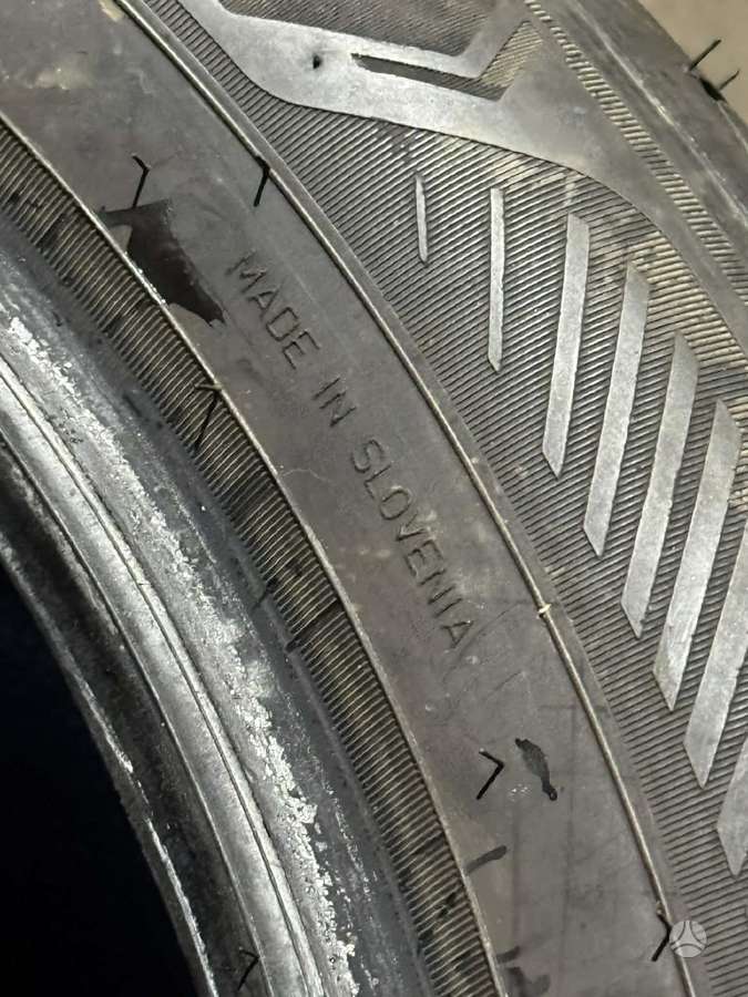 Goodyear EFFICIENTGRIP 2 | 2024/2025, летние 225/55 R19