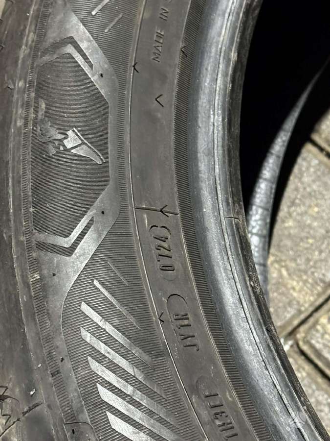 Goodyear EFFICIENTGRIP 2 | 2024/2025, летние 225/55 R19