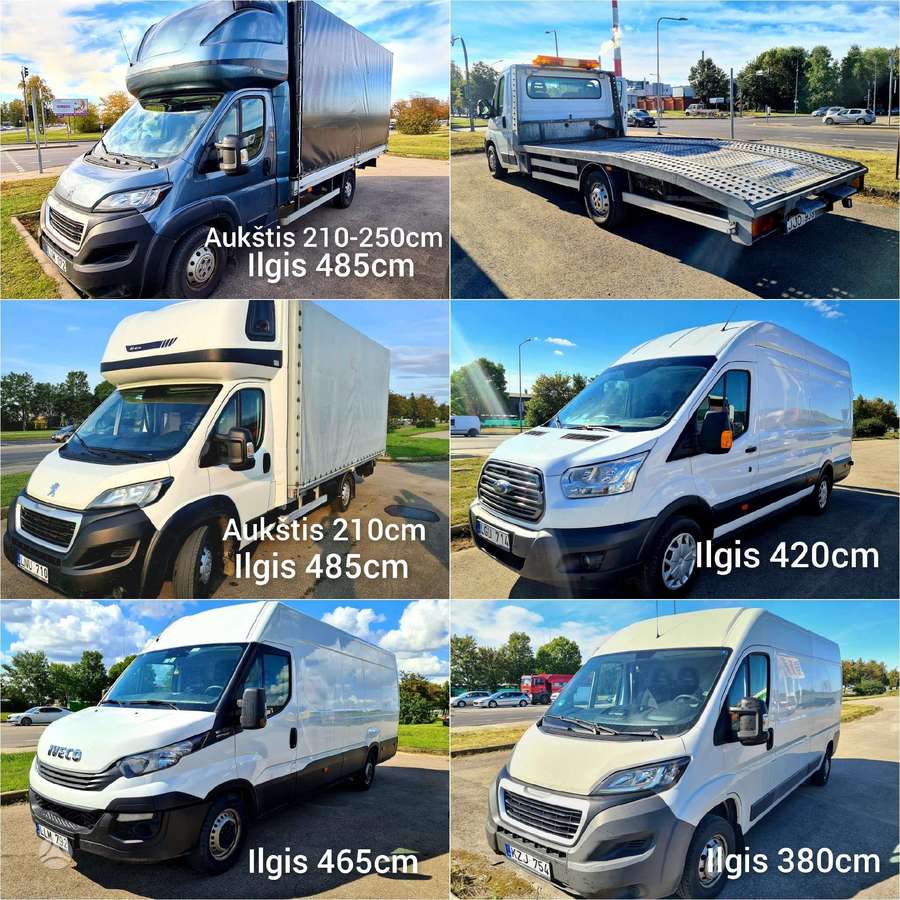 Iveco Daily, krovininis mikroautobusas