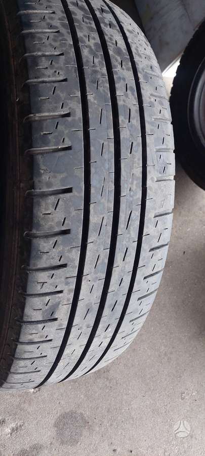 Pirelli, vasarinės 205/65 R16