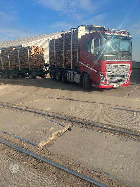 Volvo FH16, timber trucks