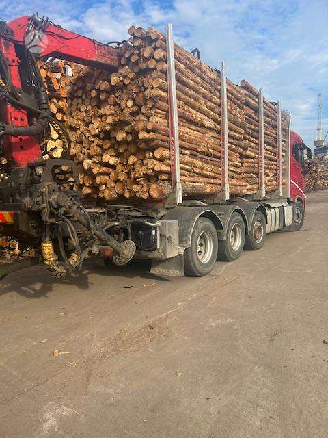 Volvo FH16, timber trucks