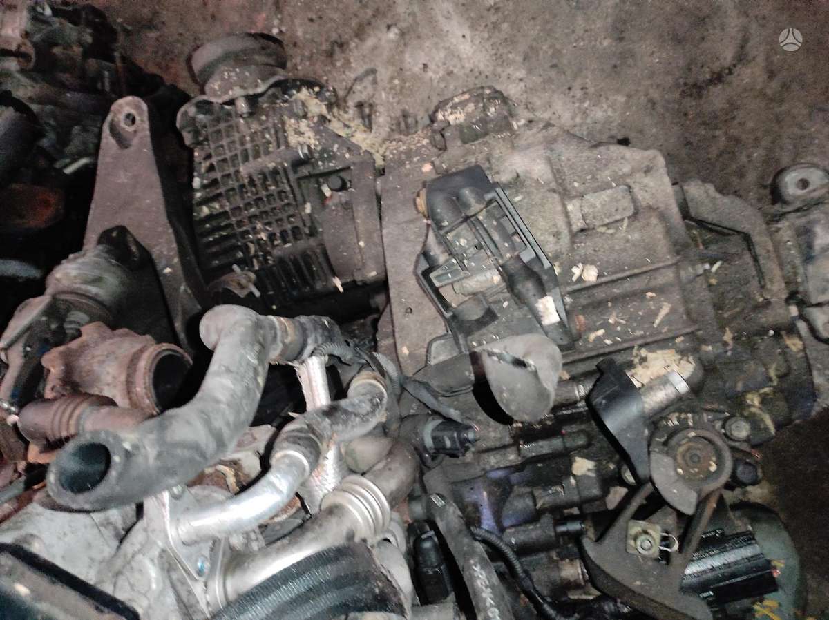 Volkswagen Transporter Tik variklis ir dėžė caa kodas
