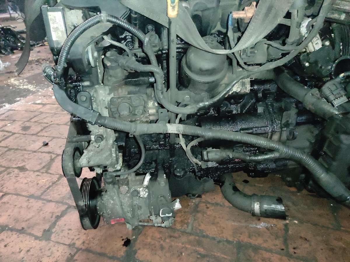 Hyundai i40 Tik variklis ir dėžė