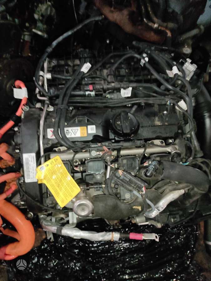 BMW 5 serija Tik variklis ir dėžė