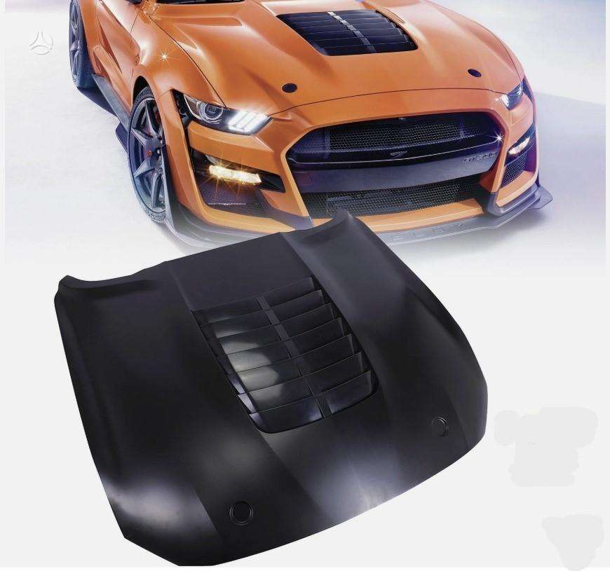 Ford Mustang hood (front, rear)