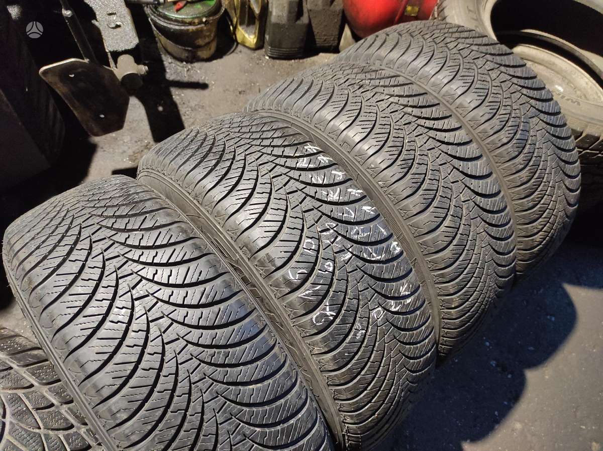 Michelin, žieminės 215/60 R16