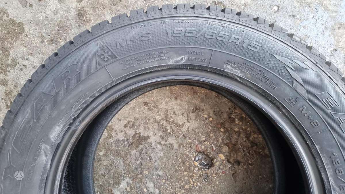 Goodyear Eagle Vector EV 2 All Weather, universalios 195/65 R15