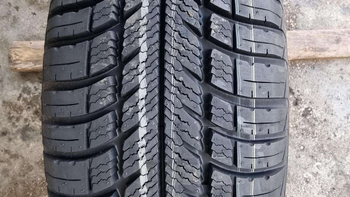 Goodyear Eagle Vector EV 2 All Weather, всесезонные 195/65 R15