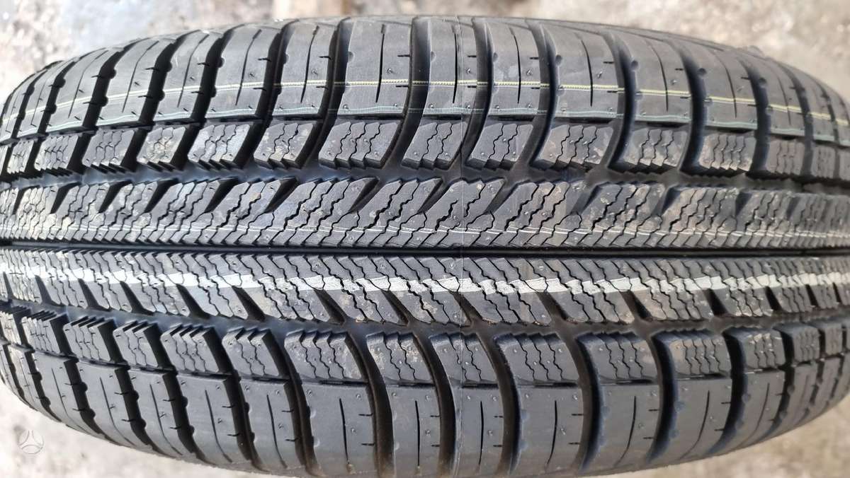Goodyear Eagle Vector EV 2 All Weather, universalios 195/65 R15