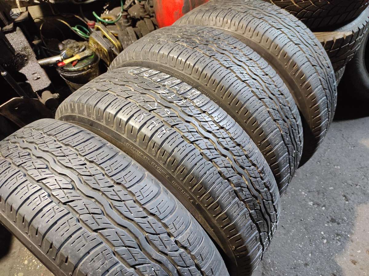 Bridgestone (Daug zieminiu), vasarinės 225/65 R17