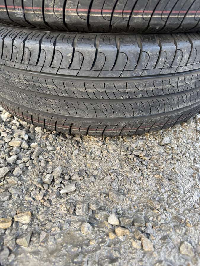 Goodyear, vasarinės 195/60 R16