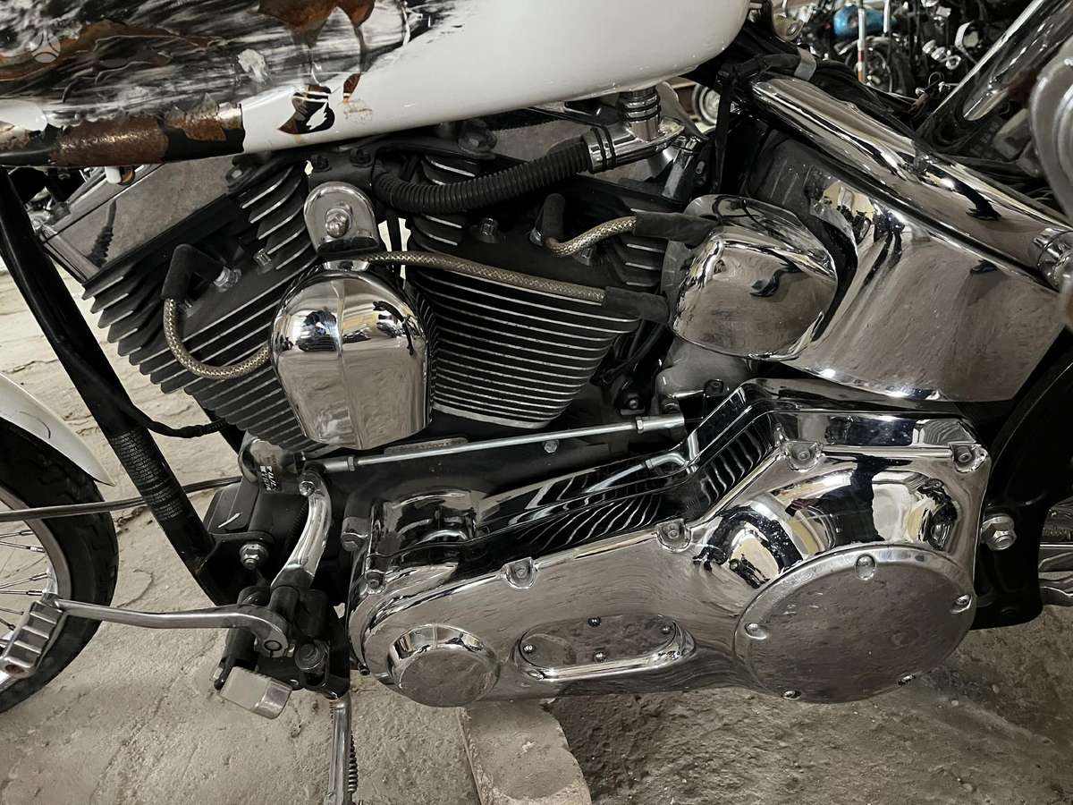 Harley-Davidson FXSTD, choppers