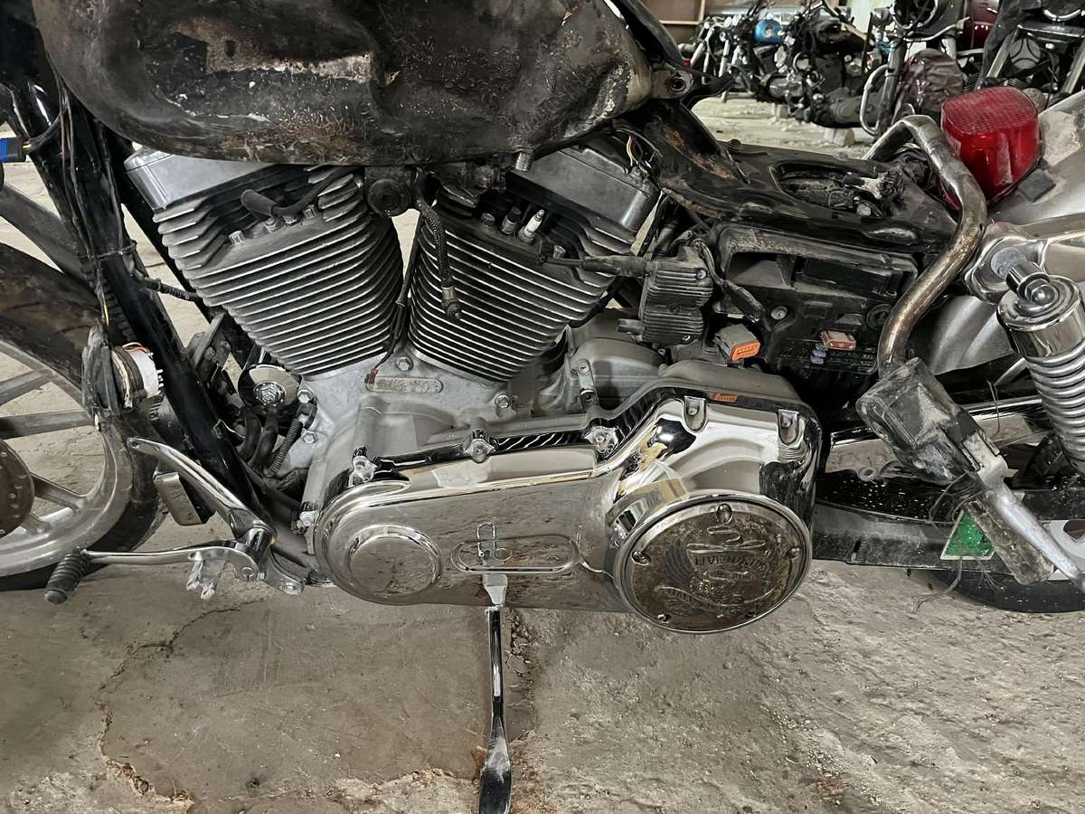 Harley-Davidson FXDC 1600cc, choppers / cruisers / custom