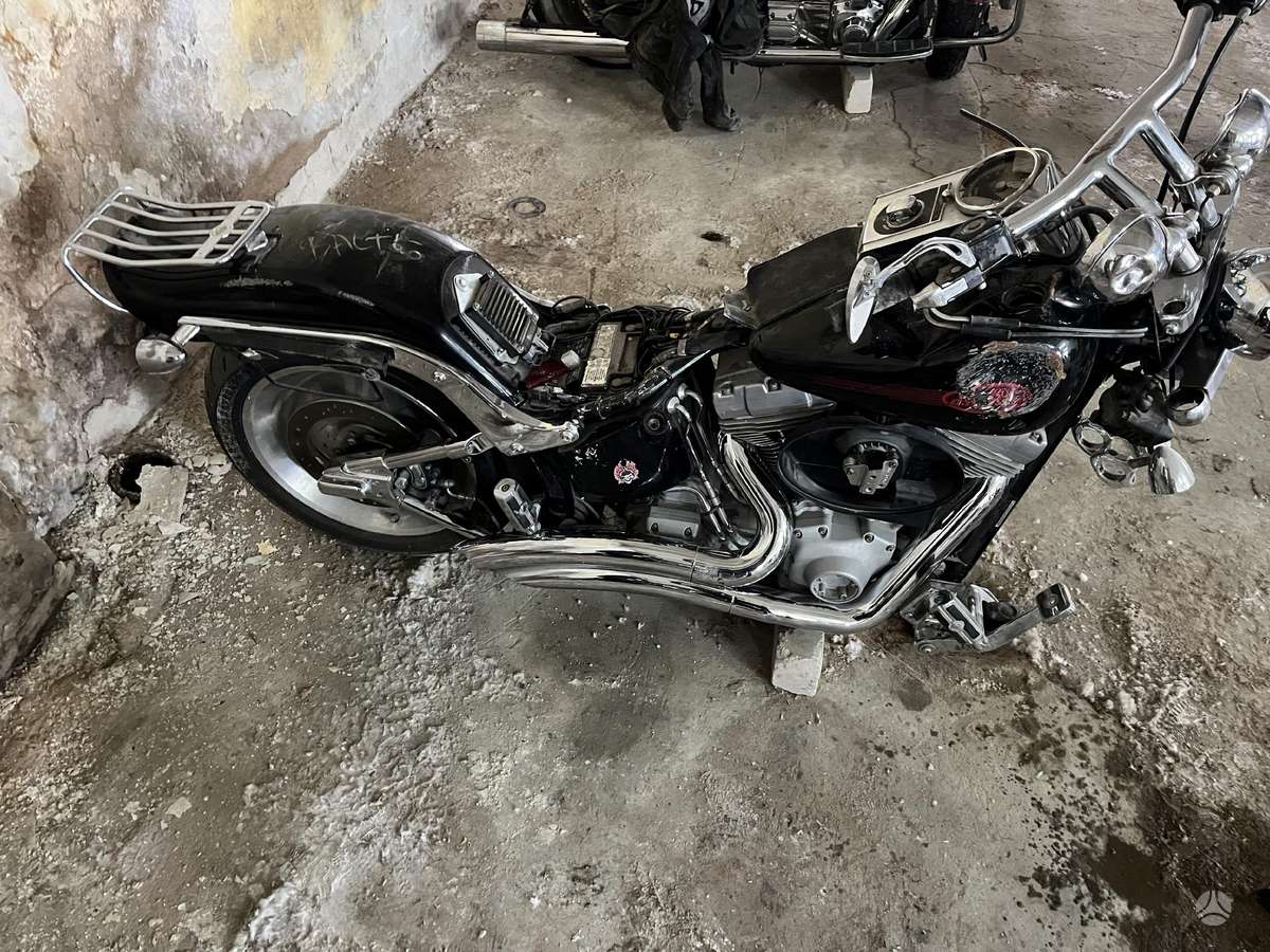 Harley-Davidson Softail, чопперы / круизеры / custom