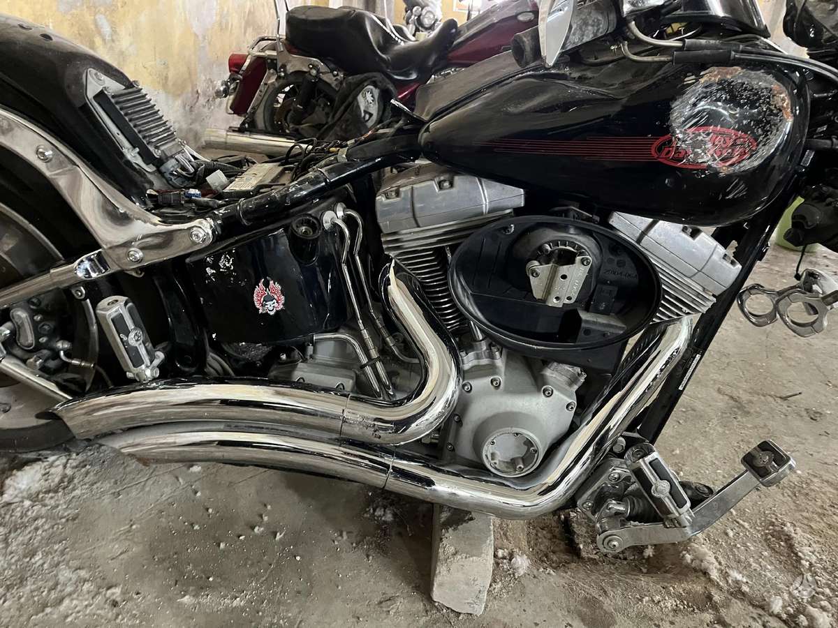 Harley-Davidson Softail, чопперы / круизеры / custom