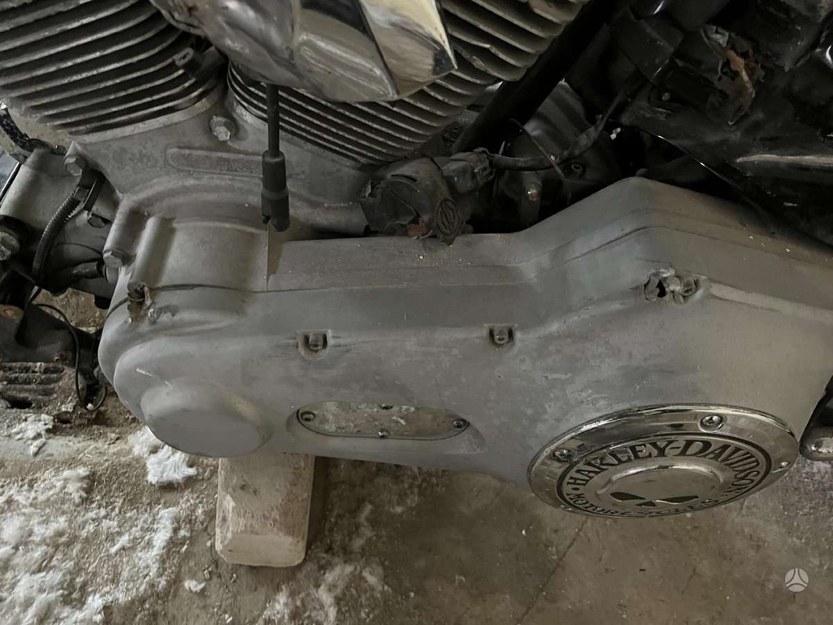 Harley-Davidson Softail, choppers / cruisers / custom