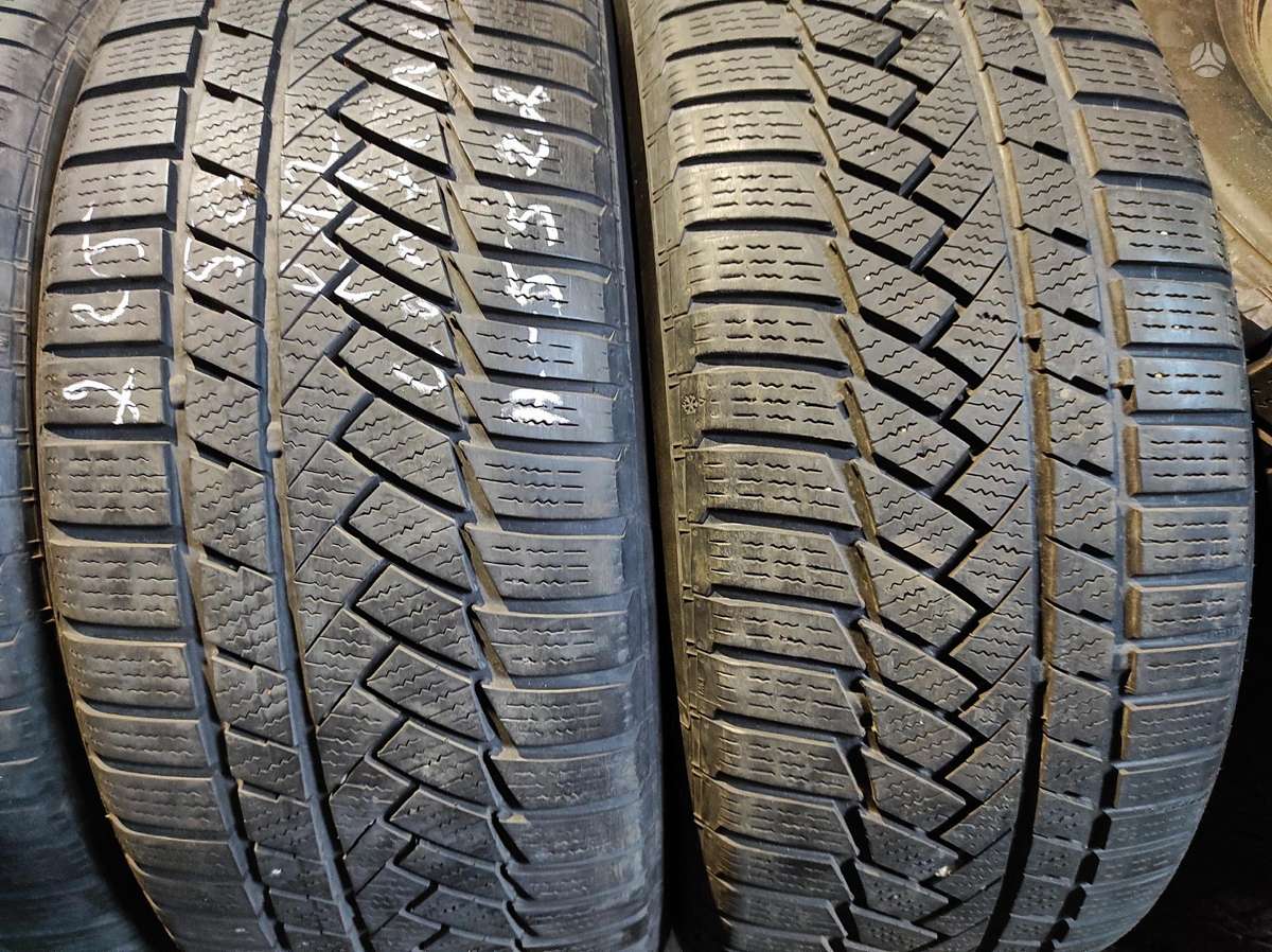 Michelin, žieminės 225/50 R17