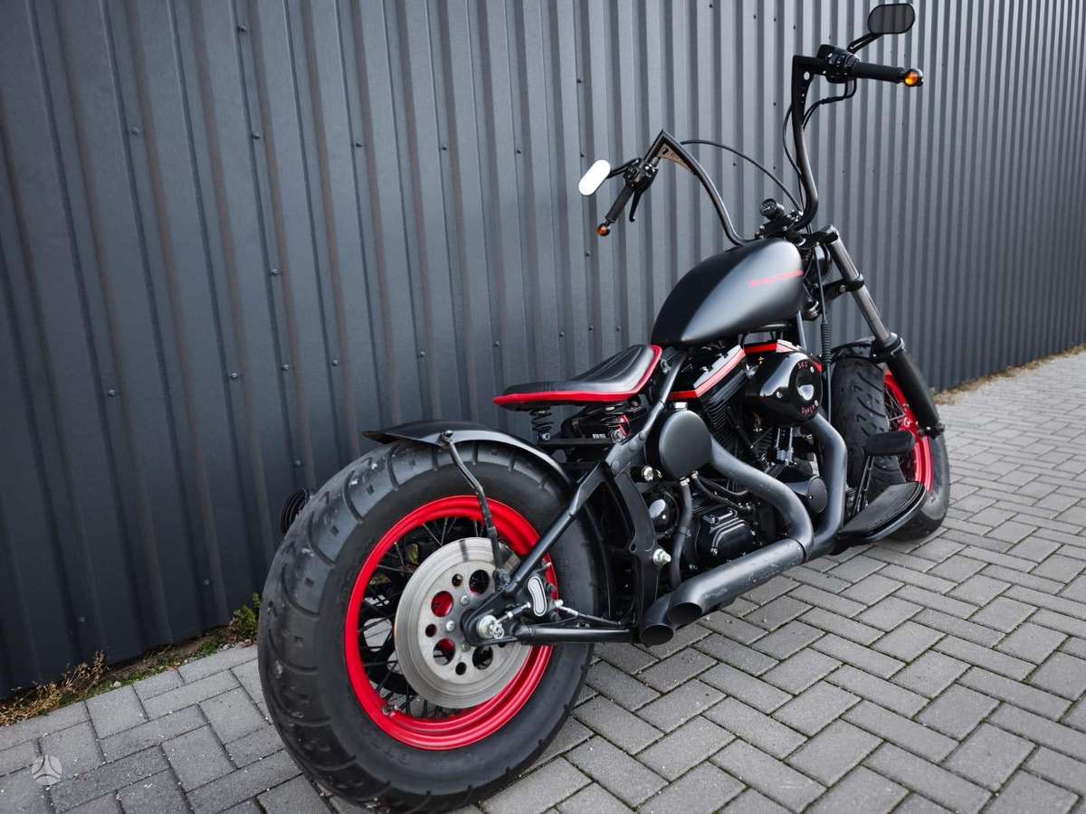 Harley-Davidson FXSTS, choppers / cruisers / custom