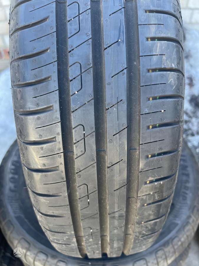Goodyear EFFICIENT GRIP PERFORMANCE 100, vasaras 185/65 R15