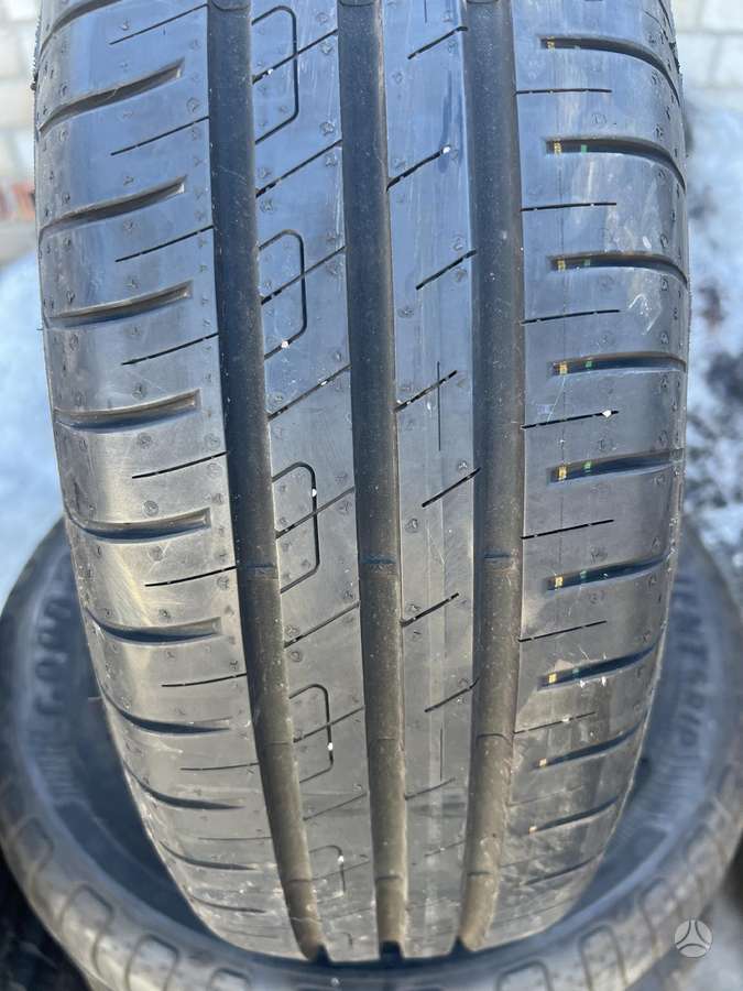 Goodyear EFFICIENT GRIP PERFORMANCE 100, vasarinės 185/65 R15