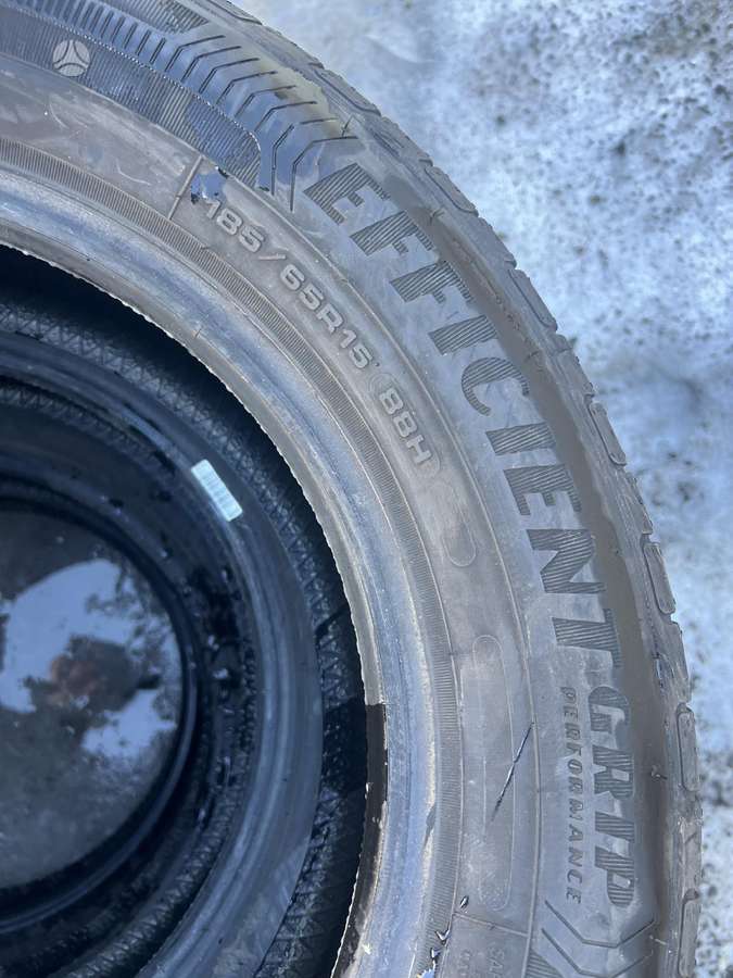 Goodyear EFFICIENT GRIP PERFORMANCE 100, vasarinės 185/65 R15