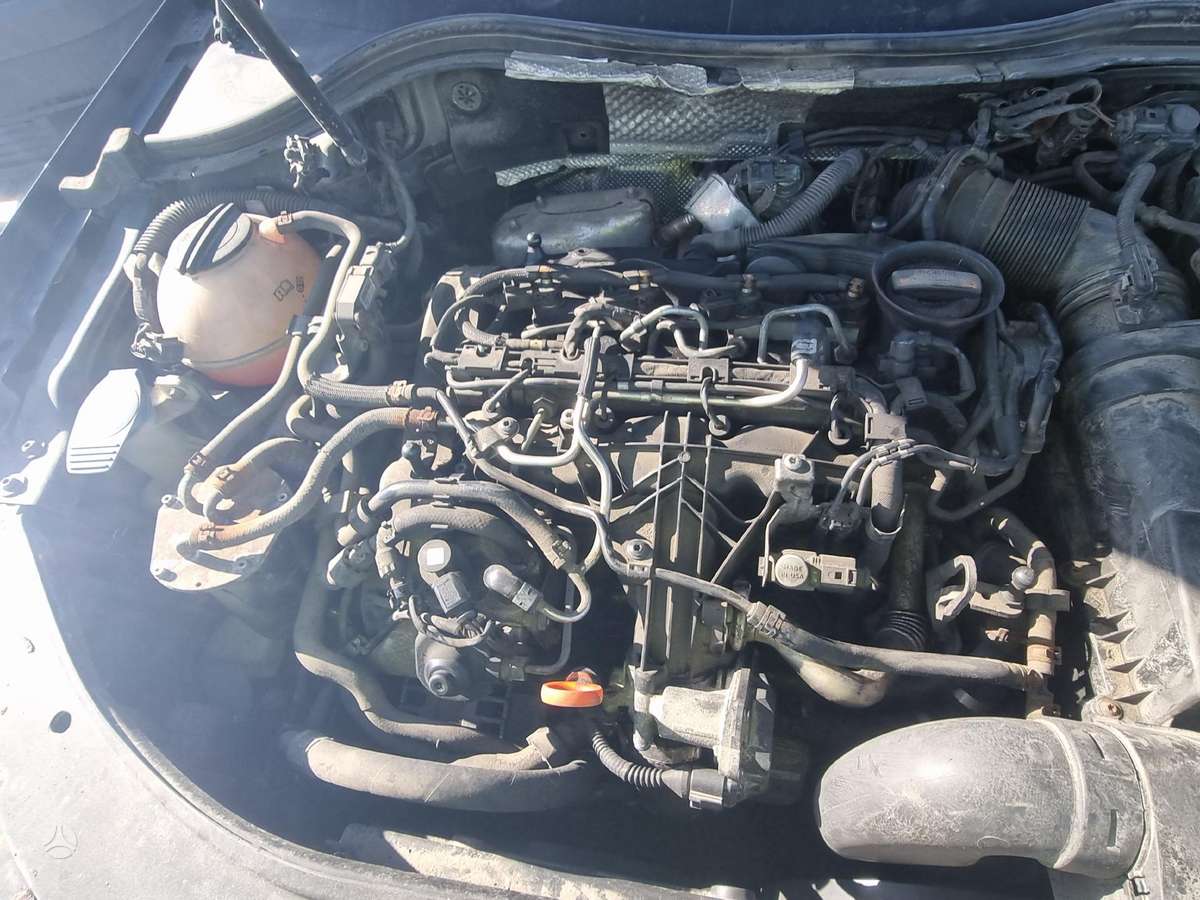 Volkswagen Passat Alltrack Surūdinęs prašiškių 53 12