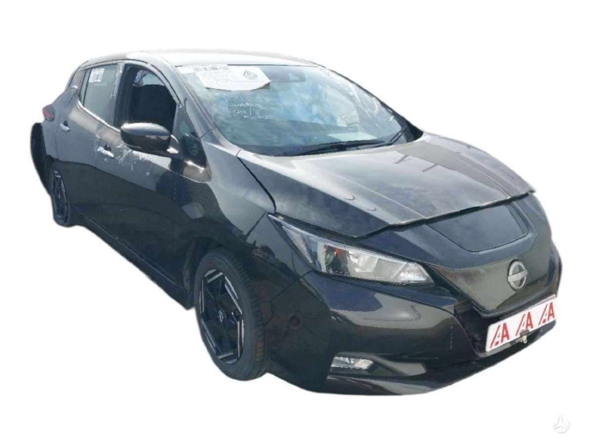 Nissan Leaf Dalimis