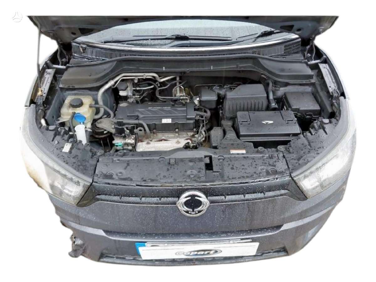 SsangYong Tivoli Dalimis