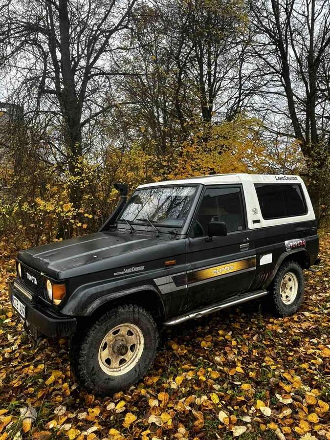 Toyota Land Cruiser - 5