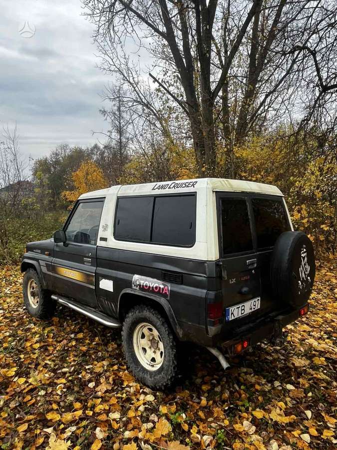 Toyota Land Cruiser - 8