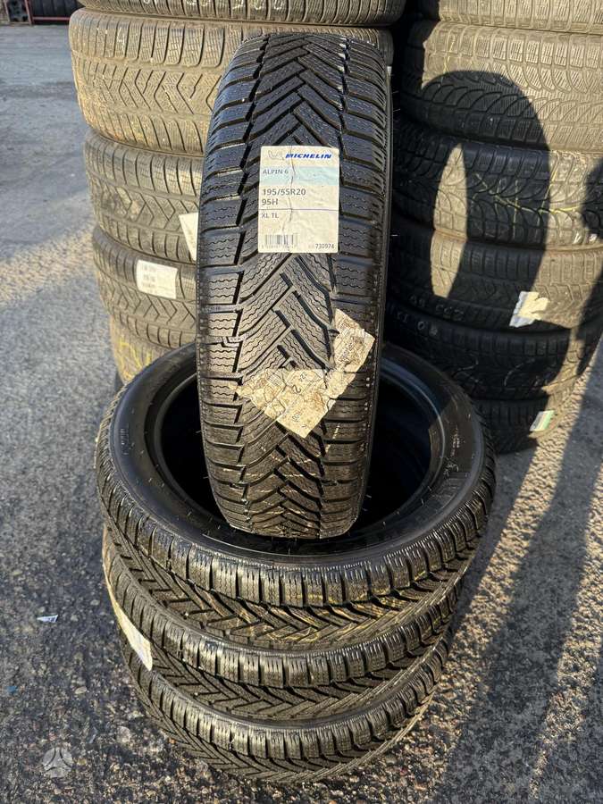 Michelin Alpin6, universalios 195/55 R20