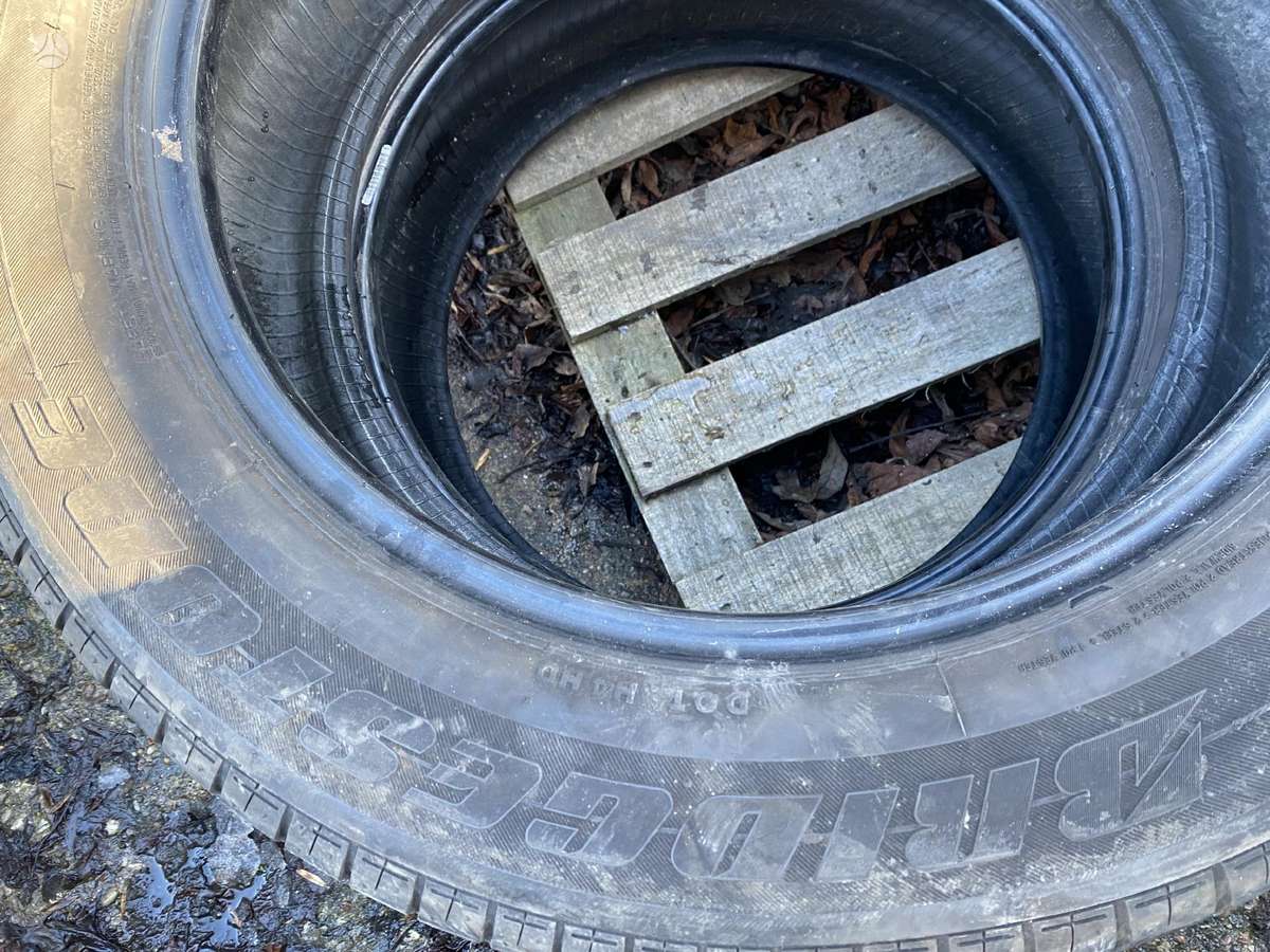Bridgestone Füller, summer 225/60 R18