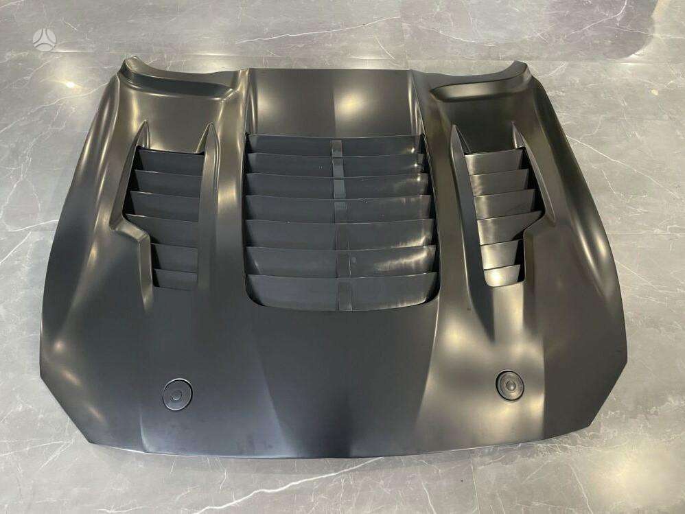 Ford Mustang hood (front, rear)