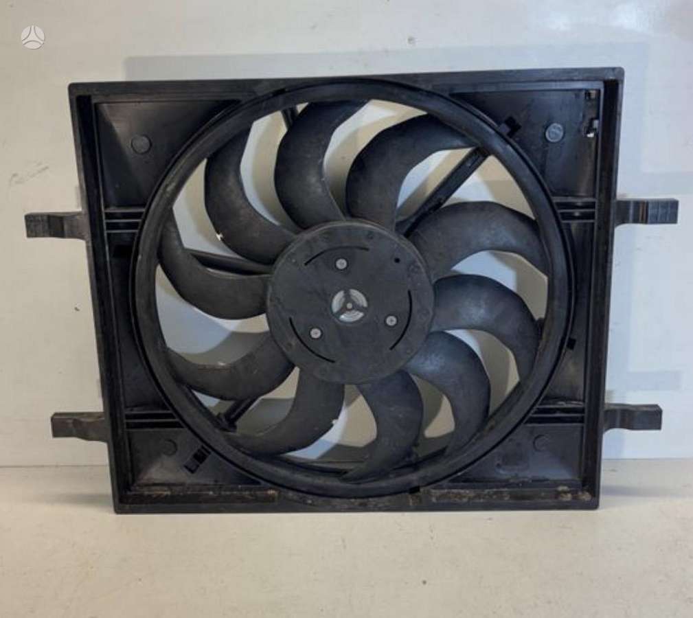 Audi Q4 e-tron, 429031636