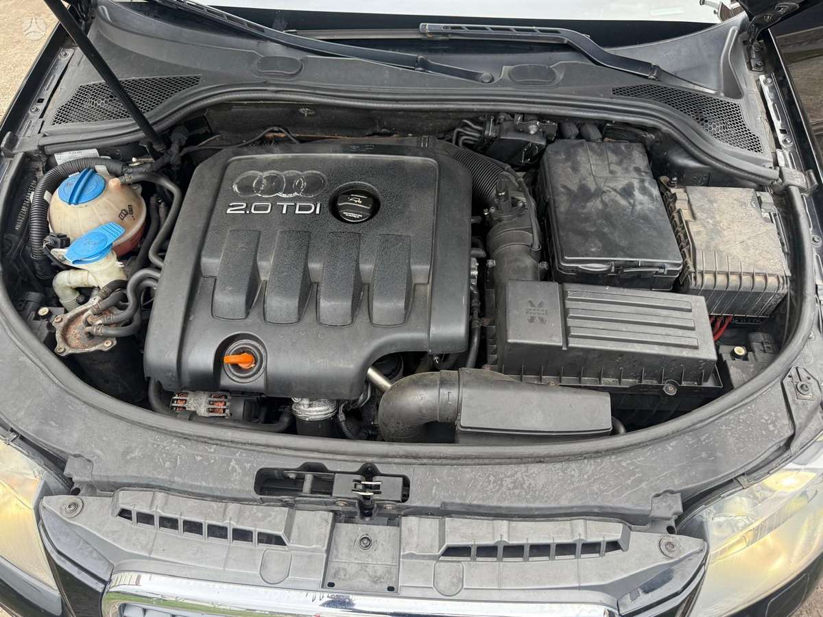 Audi A3 по частям. Dalimis