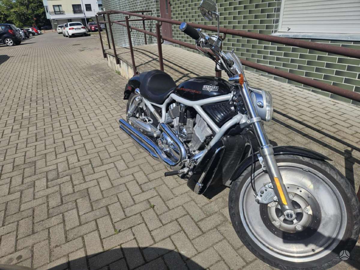 Harley-Davidson VRSCA, чопперы / круизеры / custom