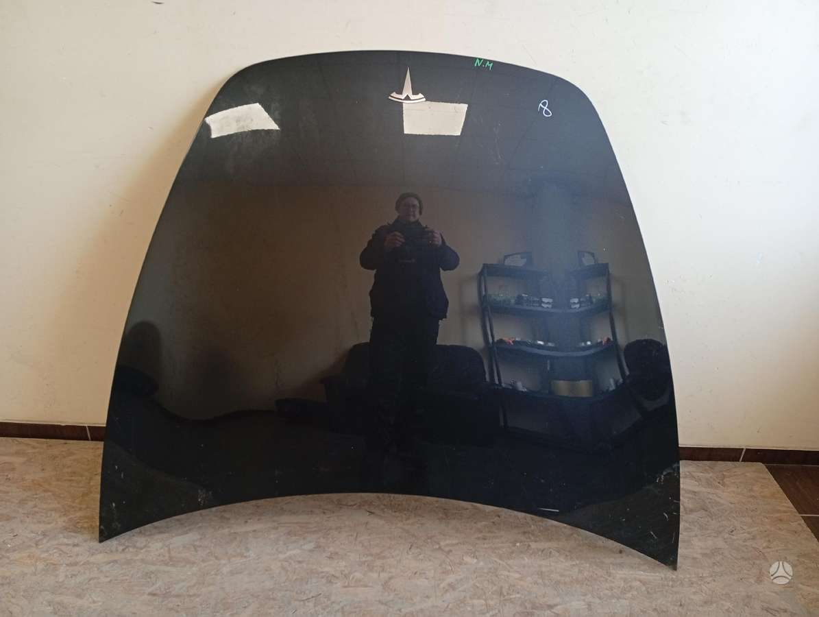 Tesla Model 3 hood (front, rear), doors, lights