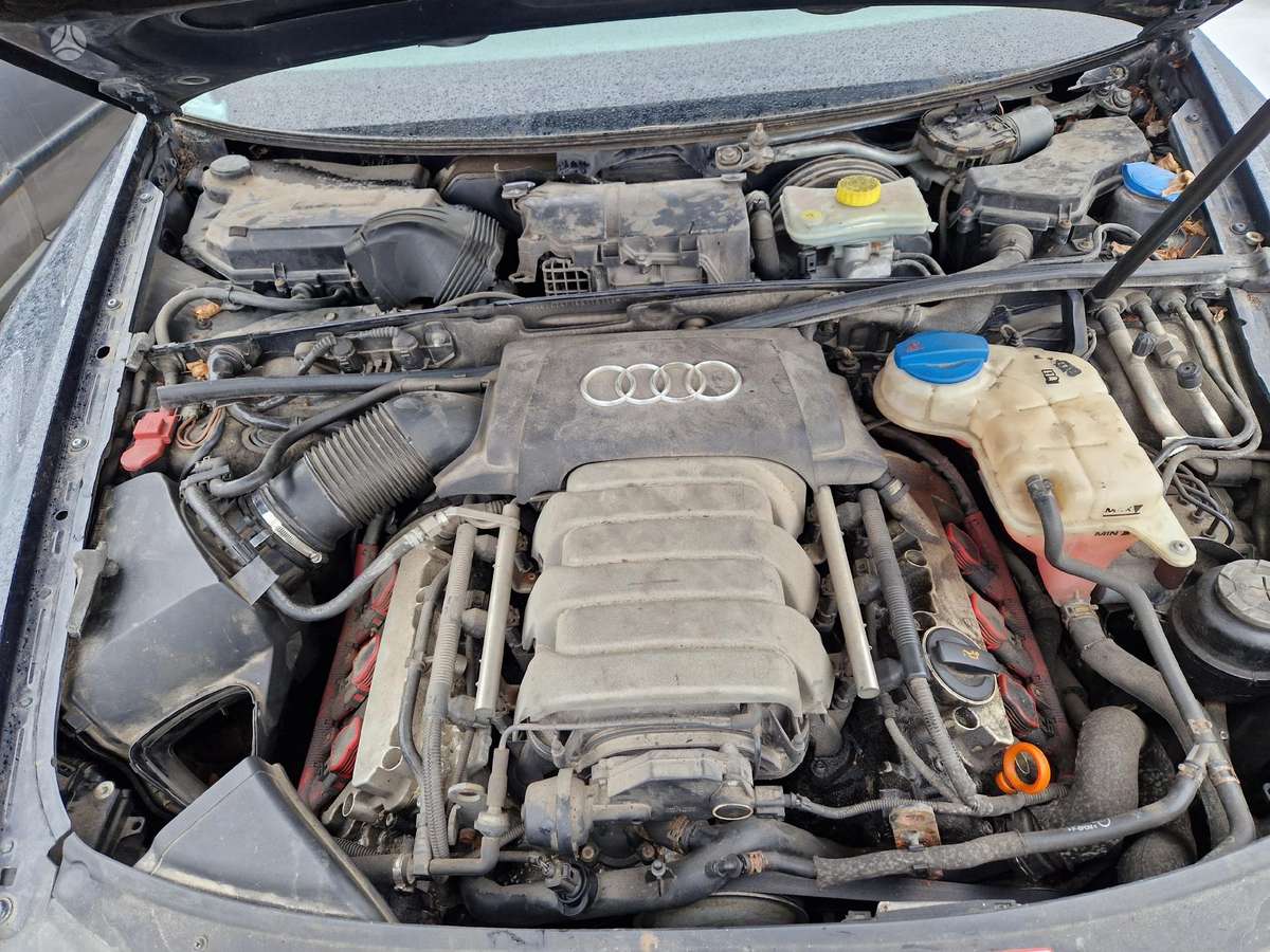 Audi A6 Dalimis