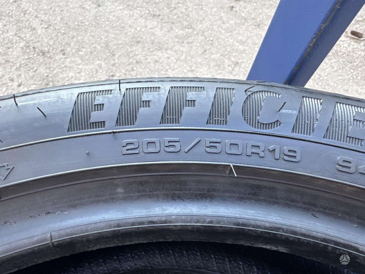 Goodyear EfficientGrip, summer 205/50 R19