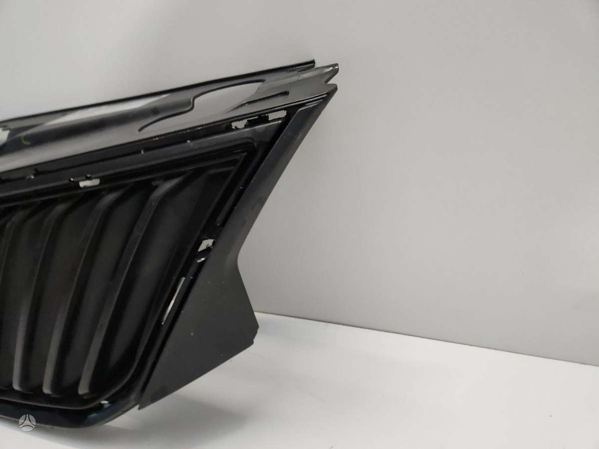 Skoda Rapid, 5JA 853 668, front grill