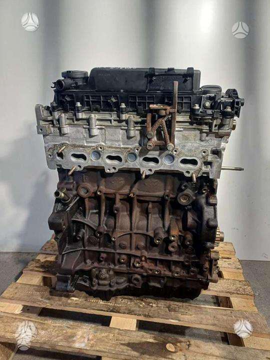 Toyota Proace, 4WZFTV, variklis