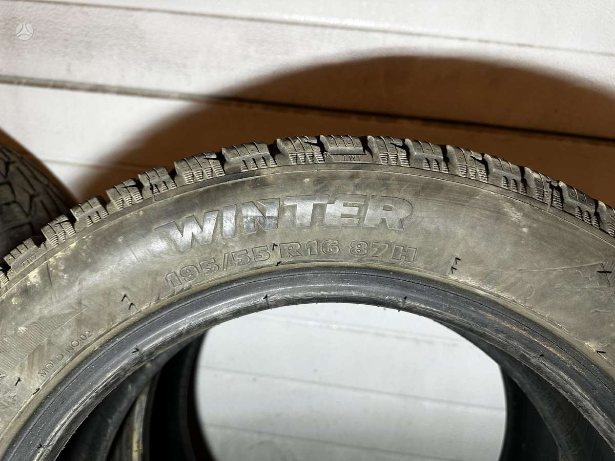 Taurus, ziemas 195/55 R16