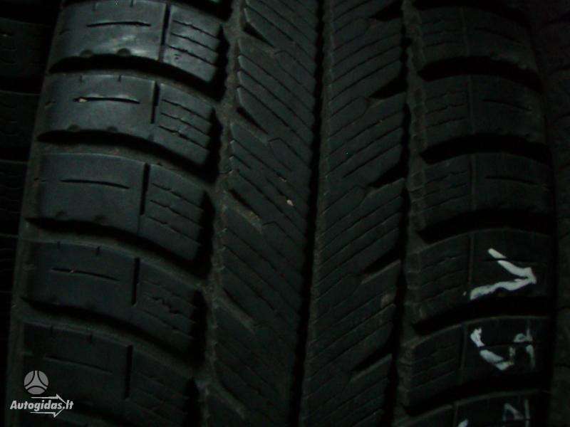 Michelin, winter 195/65 R15