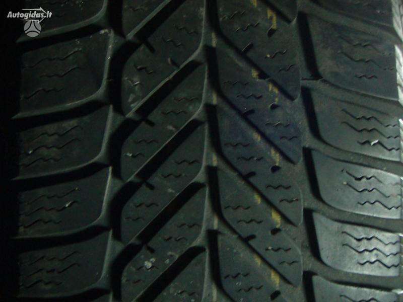 Michelin, žieminės 195/65 R15