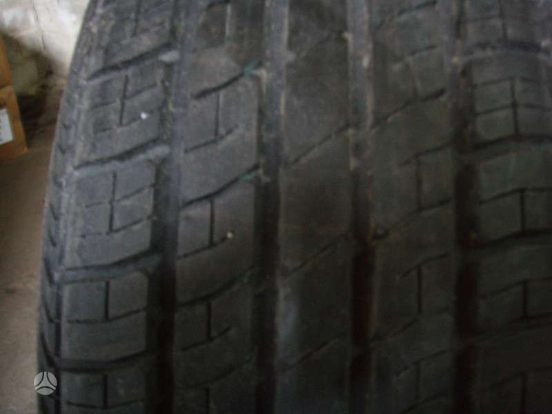 Pirelli, vasarinės 205/65 R15