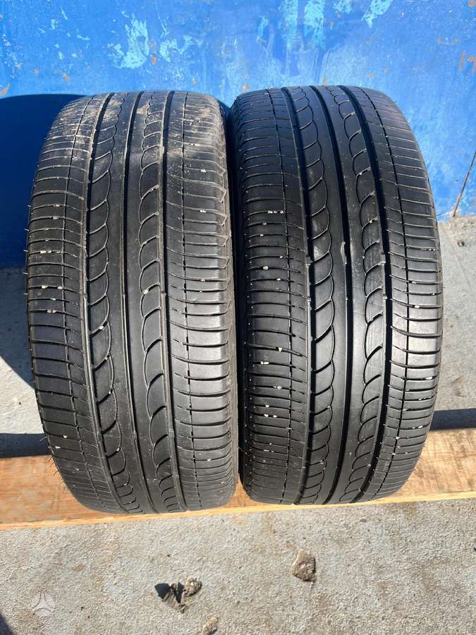Bridgestone Ecopia, vasaras 195/50 R16