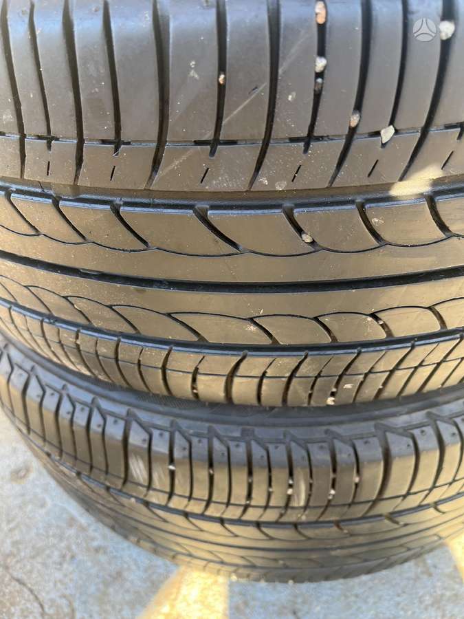 Bridgestone Ecopia, vasaras 195/50 R16