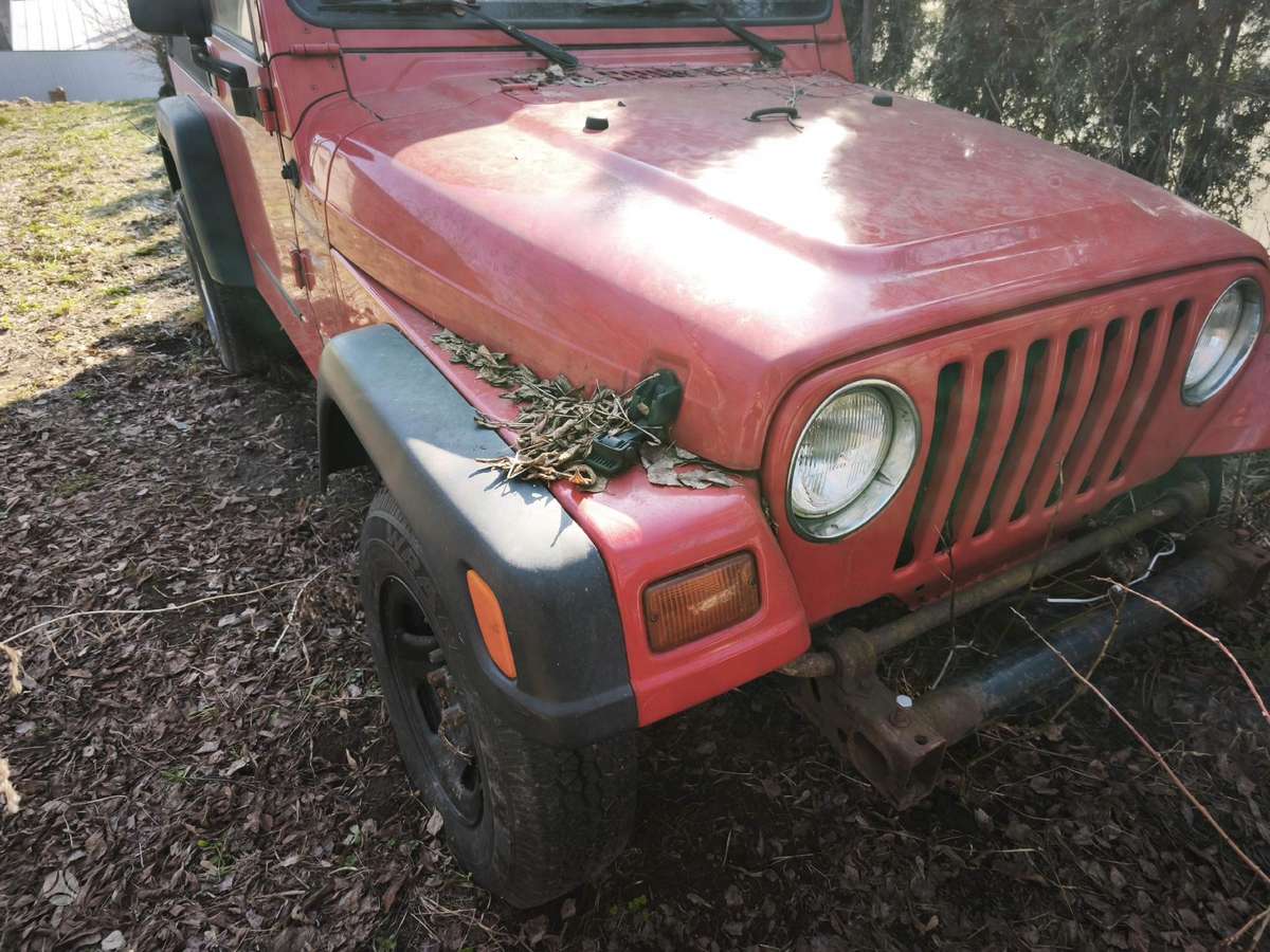 Jeep Wrangler